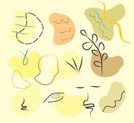 hand drawn illustration of a flower