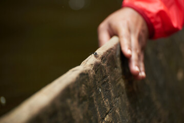 an ant working on a ship
