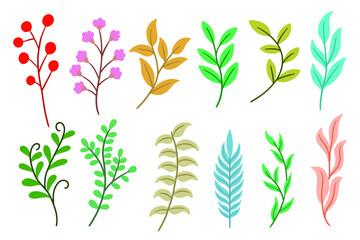 Fototapeta na wymiar Set Pack of Flat Leaf Leaves element Plant Tropical Botanical illustration