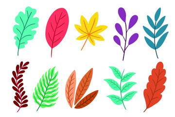 Set Pack of Flat Leaf Leaves element Plant Tropical Botanical illustration