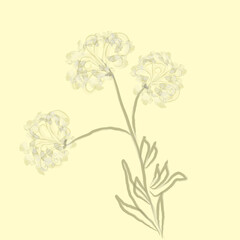 Delicate abstract flowers on a light yellow background.3d.