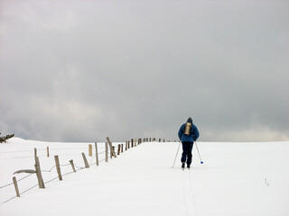 person walking in snow