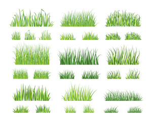 Cartoon grass. Green garden lawn silhouette, nature grass border element. Vector isolated set