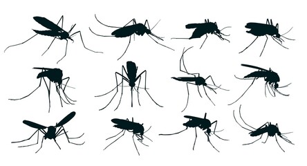 The big Set silhouettes of mosquitoes.