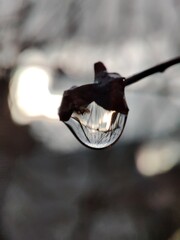 drops of water