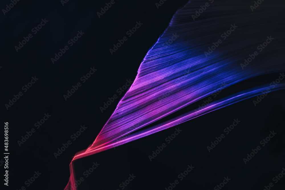 Fototapete Close up Beautiful book pages in the multi color light on a night. Background pattern for design. Macro photography view.