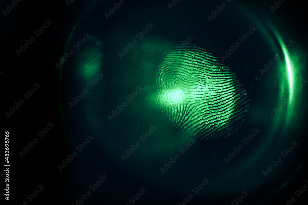 Fototapete close up beautiful abstract colored fingerprint on background texture for design. macro photography 