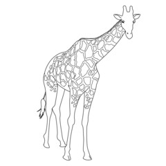 キリン　線画　シンプル　リアル　モノクロ　イラスト