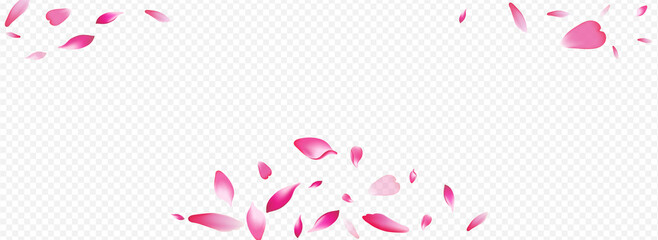 Pink Bloom Vector Panoramic Transparent