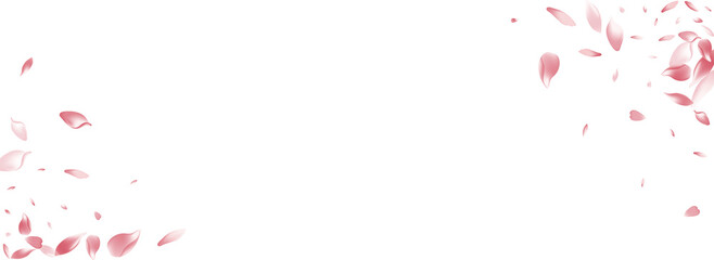 Transparent Lotus Petal Vector Panoramic