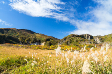 栗駒山の名残ヶ原の紅葉