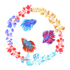 Fighting fish card on white. Fish and waterplants. Watercolor illustration