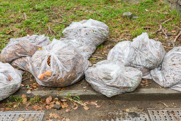 Fototapeta na wymiar 落ち葉を集めたゴミ袋　掃除