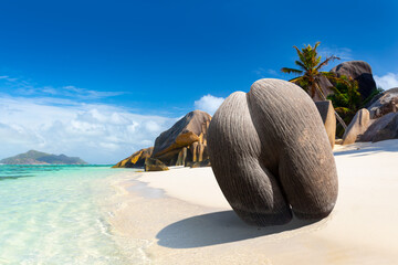 Coco de mer or sea coconut, or double coconut is the largest and sexiest nut in the world....