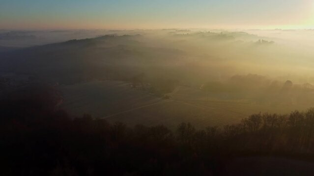 Aerial view of vineyard in frozen winter, hoarfrost on the vine, Bordeaux Vineyard, Gironde, France. High quality 4k footage