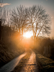 Obraz premium sunrise in the fog
