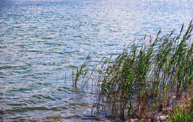 Water surface. The texture of the water. Waves on the lake in windy weather.