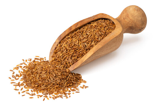 Roasted cumin seeds in the wooden scoop, isolated on the white background.