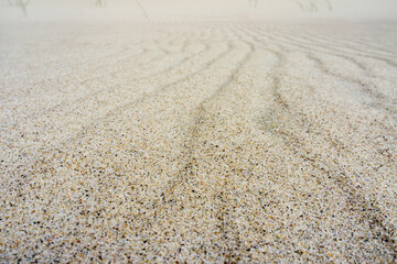 the texture of the sand, sea sand, sand background