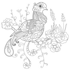Contour linear illustration for coloring book with paradise bird in flowers. Tropic bird, anti stress picture. Line art design for adult or kids in zen-tangle style, tattoo and coloring page.