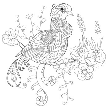 Contour linear illustration for coloring book with paradise bird in flowers. Tropic bird, anti stress picture. Line art design for adult or kids in zen-tangle style, tattoo and coloring page.