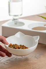white cat food bowl with self-filling water. auto feeder for cats
