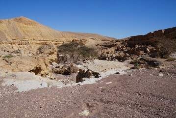 Hiking in Nahal Shani, South Israel