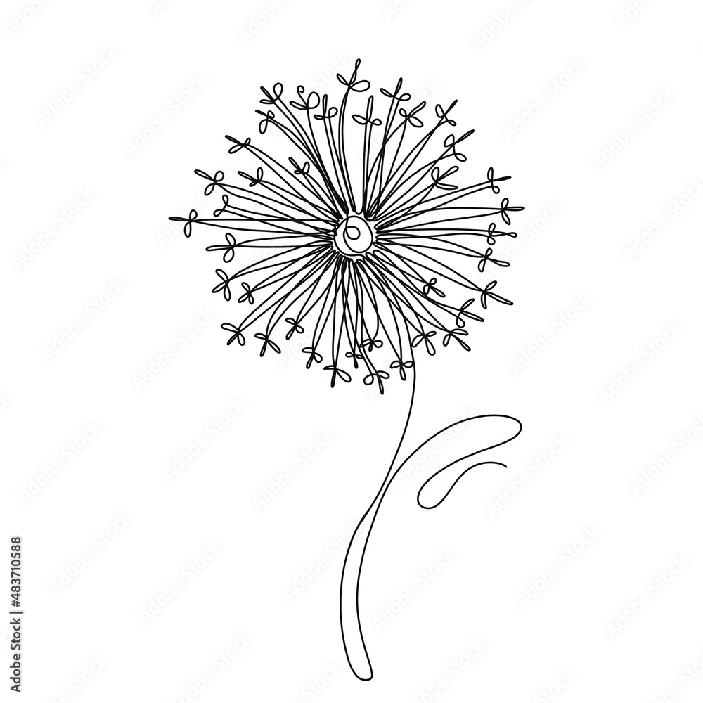 Wall mural continuous one-line black outline pattern of dandelion abstraction