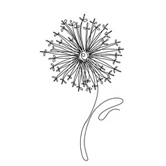Continuous one-line black outline pattern of dandelion abstraction