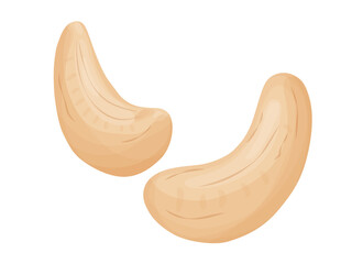 Fototapeta premium Cashew nuts. Illustration of delicious healthy vegan snack.