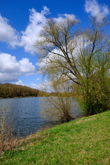 Fototapeta na wymiar NSG Mainaue bei Augsfeld, mit dem Messelausee, zwischen der Stadt Haßfurt und Knetzgau, Landkreis Hassberge, Unterfranken, Franken, Bayern, Deutschland