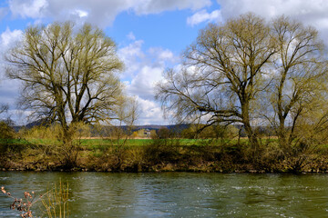 NSG Mainaue bei Augsfeld zwischen der Stadt Ha&szlig;furt und Knetzgau, Landkreis Hassberge, Unterfranken, Franken, Bayern, Deutschland