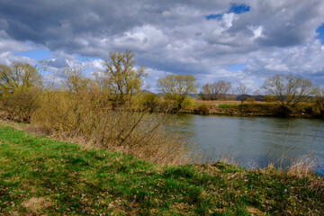 NSG Mainaue bei Augsfeld zwischen der Stadt Haßfurt und Knetzgau, Landkreis Hassberge, Unterfranken, Franken, Bayern, Deutschland