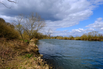 NSG Mainaue bei Augsfeld zwischen der Stadt Haßfurt und Knetzgau, Landkreis Hassberge, Unterfranken, Franken, Bayern, Deutschland
