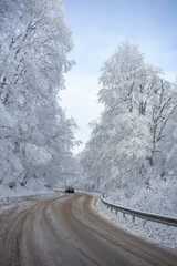 Obraz premium Road in Sabaduri forest with covered snow. Winter time. Landscape