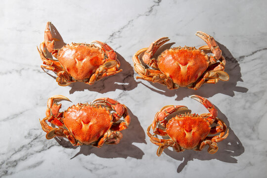 Cooked crabs on white marbled background. Top view