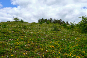 Abend über dem Naturschutzgebiet Grainberg-Kalbenstein am Main bei Karlstadt, Landkreis Main-Spessart, Unterfranken, Bayern, Deutschland
