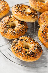 Fresh baked sourdough New York style bagels with cream cheese on light gray table.	