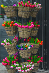 Fototapeta na wymiar Colorful wooden tulips in the basket on the stand, Netherlands