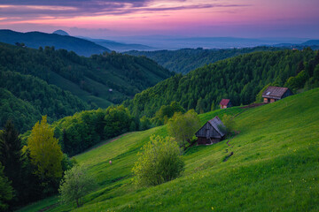 Rural scenery and wooden huts on the slope, Transylvania, Romania