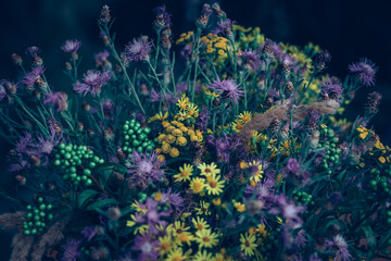 Fototapeta na wymiar bunch of colorful wild flowers from meadow