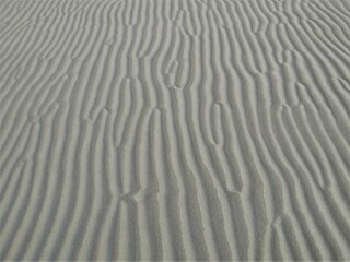 Fototapeta na wymiar drawing of dunes on the beach sand