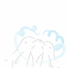 The kiss of two dolphins.