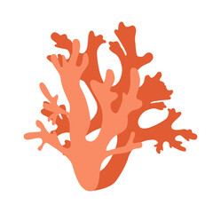 Obraz premium Red coral is a beautiful aquatic animal