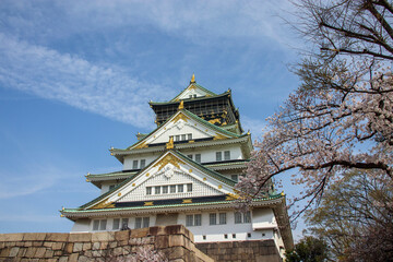 桜の花と大阪城