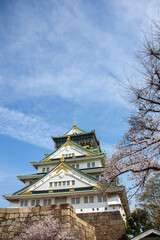 Fototapeta premium 桜の花と大阪城