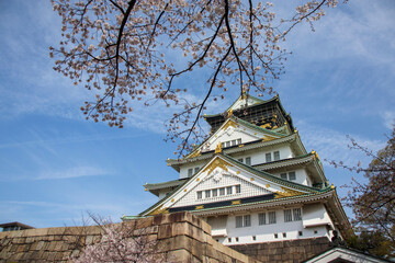 桜の花と大阪城