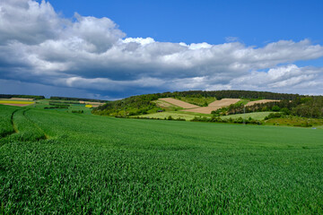 Blick in das Werntal bei Gössenheim und die Burgruine Homburg im Naturschutzgebiet Ruine Homburg, Unterfranken, Franken, Bayern, Deutschland