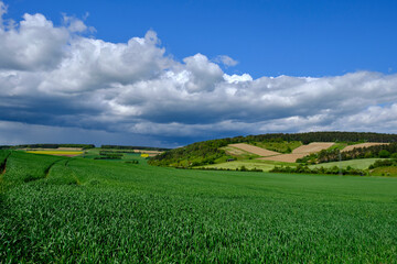 Blick in das Werntal bei Gössenheim und die Burgruine Homburg im Naturschutzgebiet Ruine Homburg, Unterfranken, Franken, Bayern, Deutschland