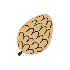 Fir cone in hand drawn doodle style isolated on white background. Vector illustration.